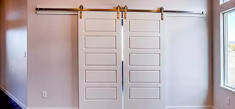 Glass Barn Door with Installation Hardware Kit Edina